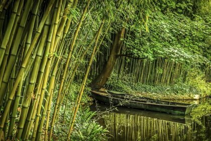 De 8 mest urolige ting ved bambus underbukser - Hvilken kan du bedst lide?