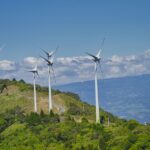 Grøn omstilling: Kan bæredygtige investeringer betale sig?